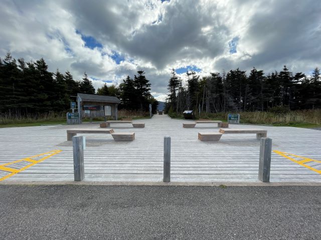 A large wooden deck with benches and a forest in the background.