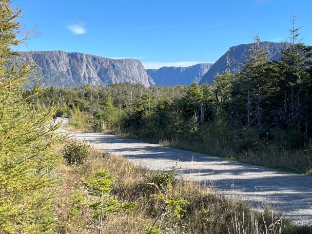 A wide path though the forest with high cliffs in the background.