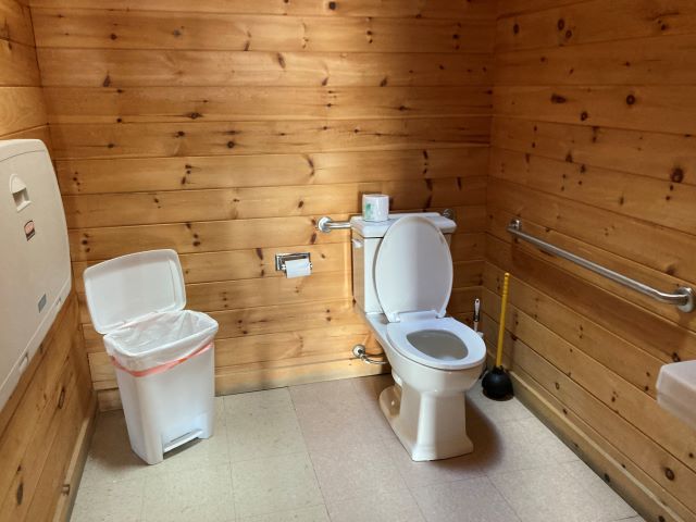 A bathroom with a toilet..