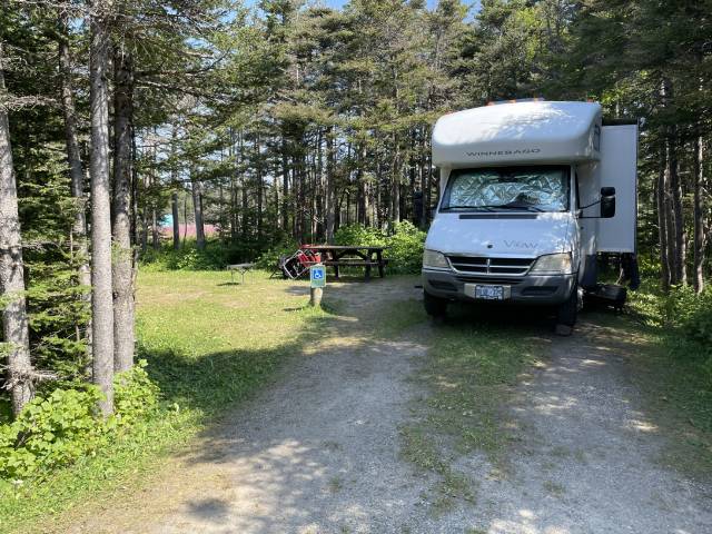 RV parked on a forested campsite with a picnic table.
