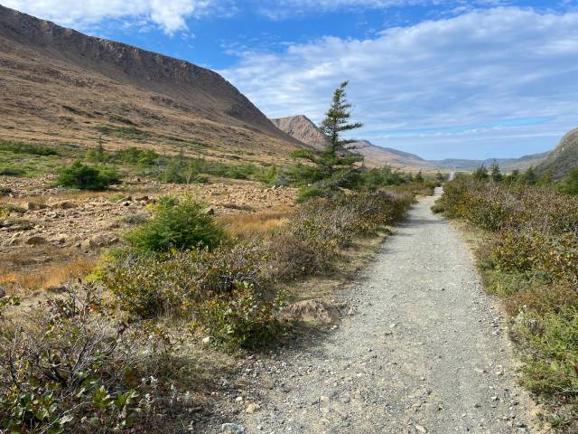 A gravel trail through a rocky landscape.