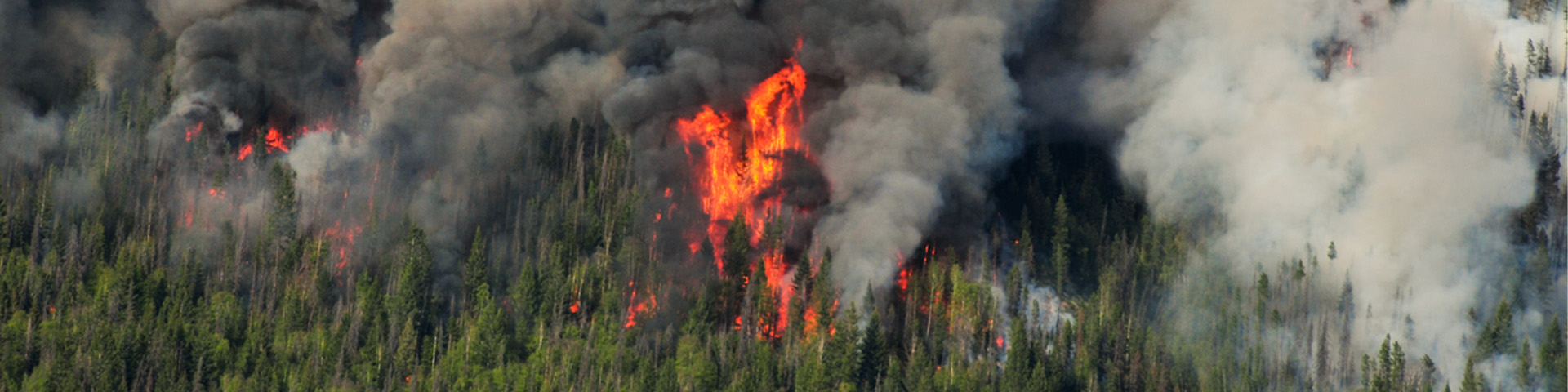 aerial view of a burning forest