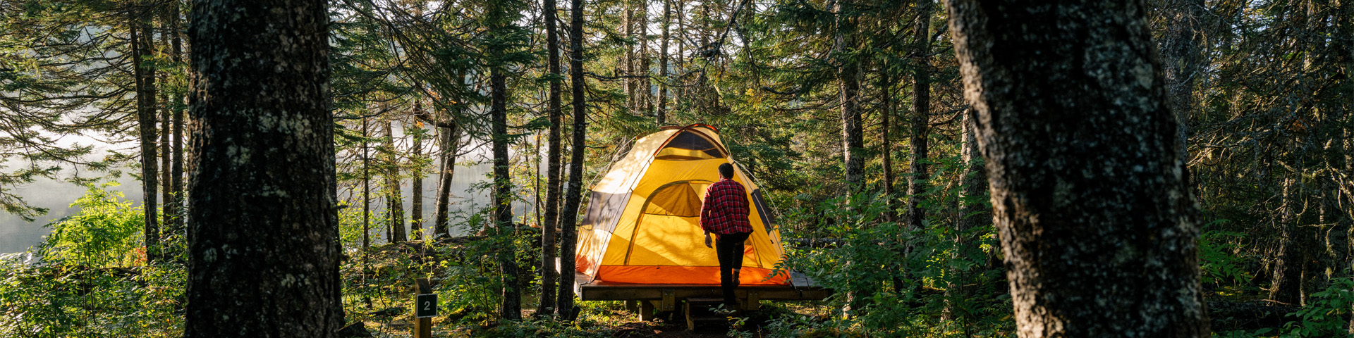 a person in a red plaid shirt walks towards a yellow tent that is surrounded by trees