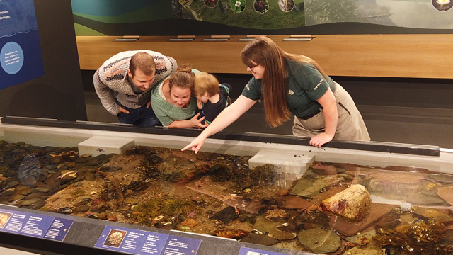 two adults and a child taking a tour of the touch tank with a Parks Canada employee