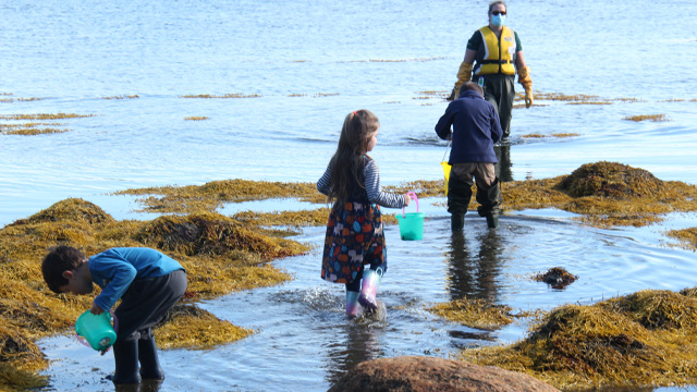 three kids playing in the water at low tide