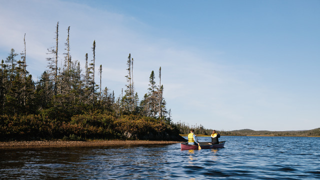 two individuals paddling a canoe on a pond around a forested point of land