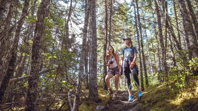 two individuals hiking in a forest