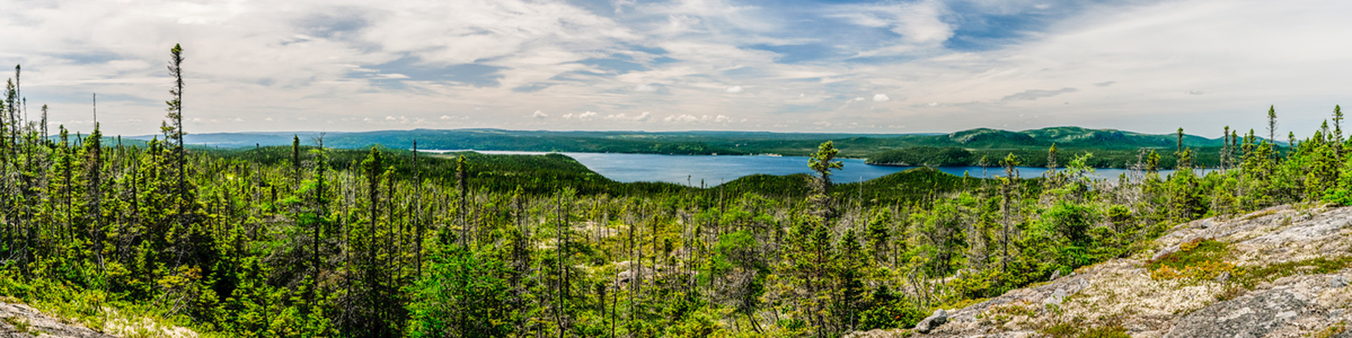 a rocky, forest, overlooking the coast.