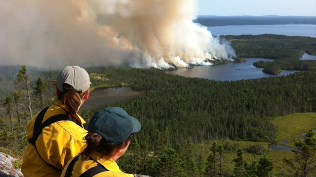 two Parks Canada employees sitting on a cliff overlooking a coastal prescribed fire