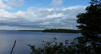 a distant island on a pond