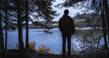 a person standing next to a tree overlooking the water