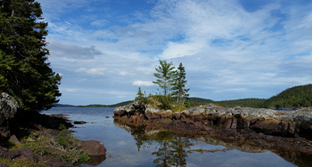 an inlet with trees on it