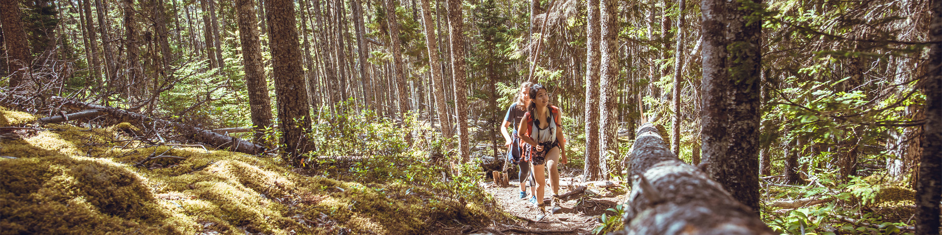 two people hiking amongst the trees