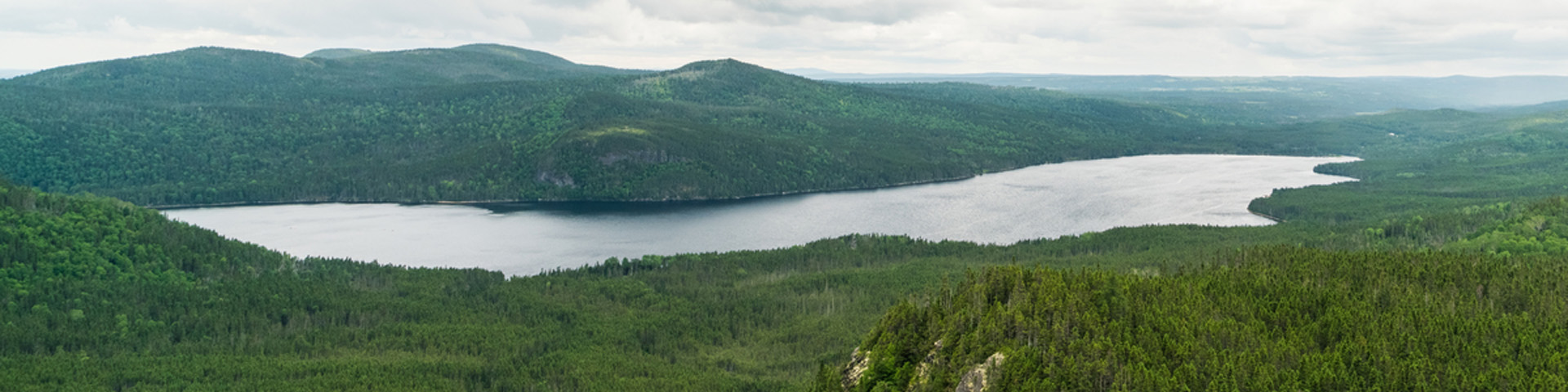 vue aérienne d'une crique océanique boisée 