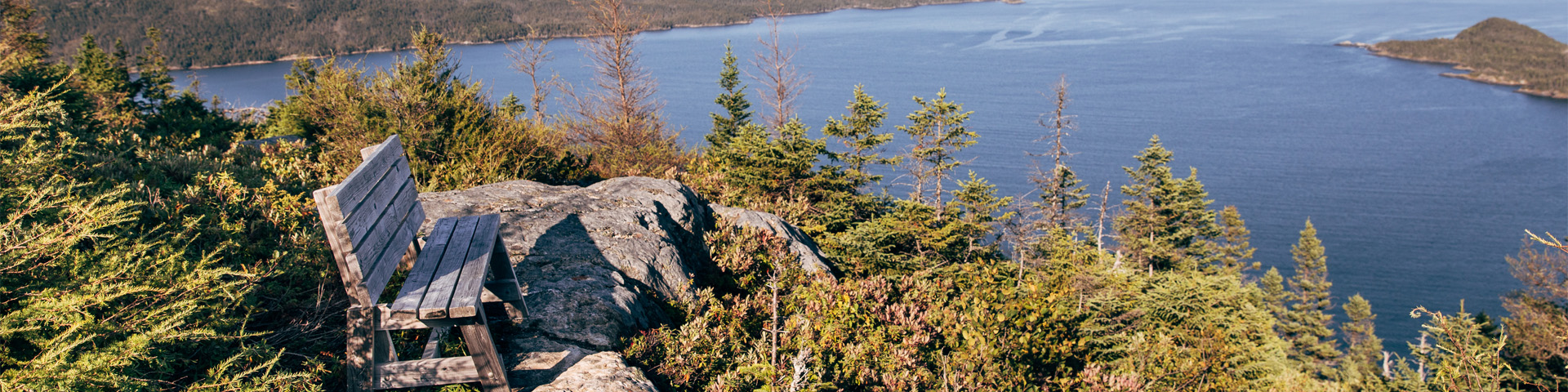 a wooden bench on a rock cliff overlooking the coast 