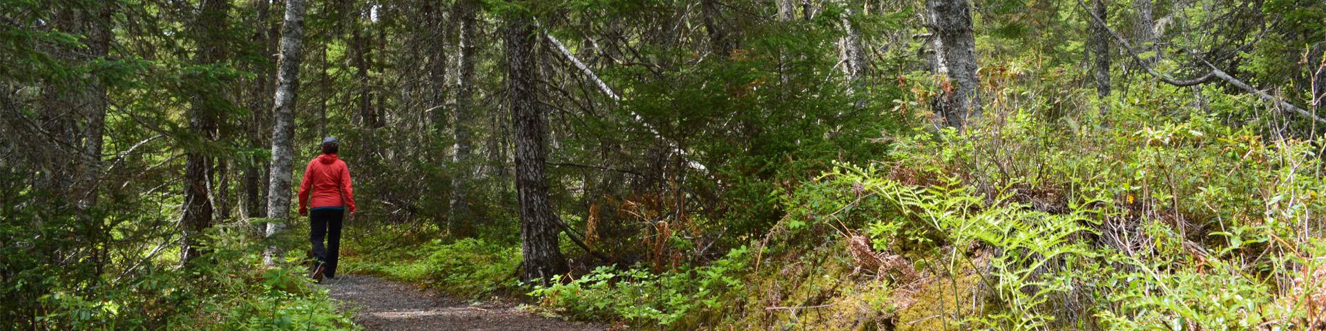 woman in bright orange jacket, walking on a trail through the trees