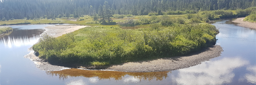 view of a barachois