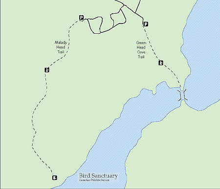 Map of Malady Head Trail