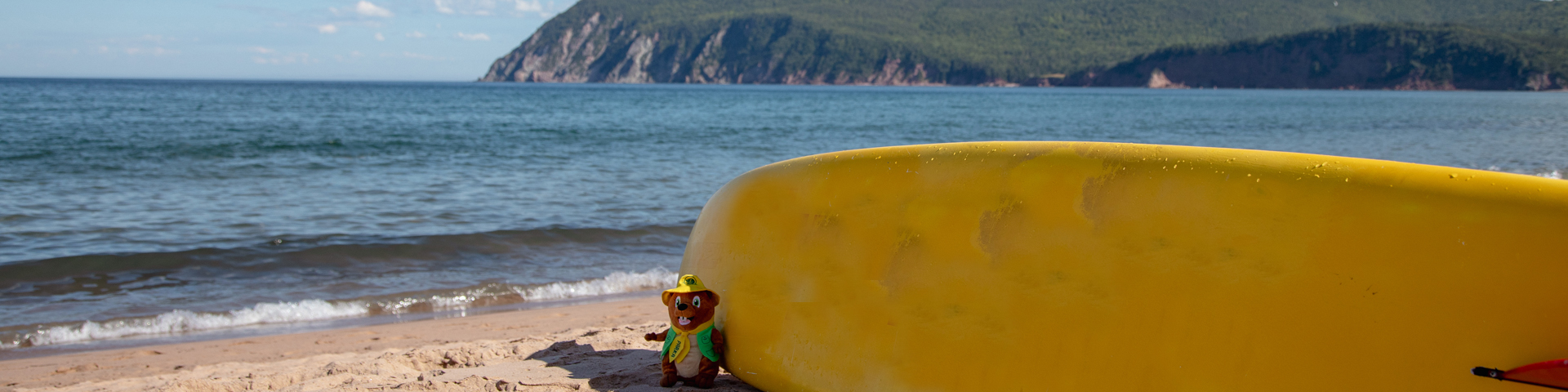 A beaver plush toy propped up against a yellow and red surf board