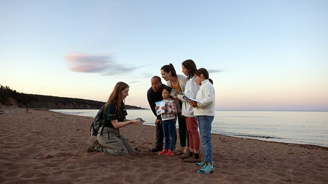 Un guide montre une famille de cinq personnes sur une plage.