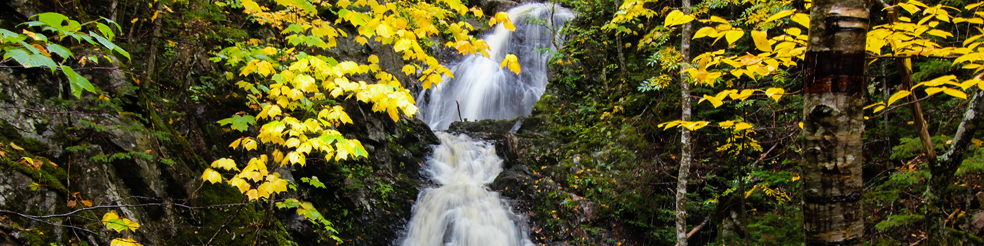 Corney Brook