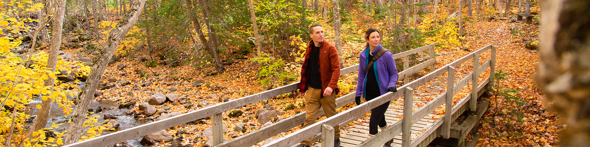 Two people walking on a bridge over a stream with fall coloured leaves covering the ground. 