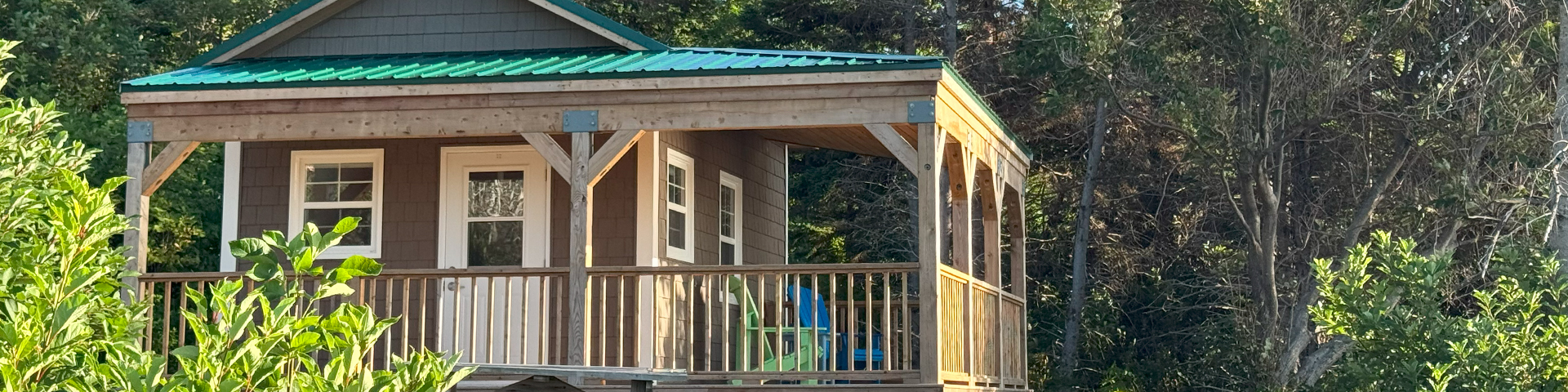 Une petite cabane en bois nichée parmi les arbres.