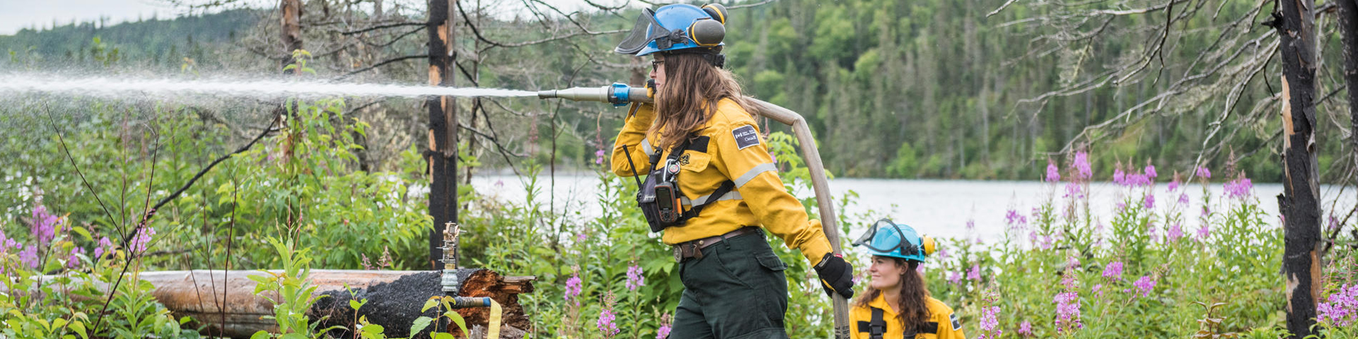 Two people with a fire hose watering a wooded area.