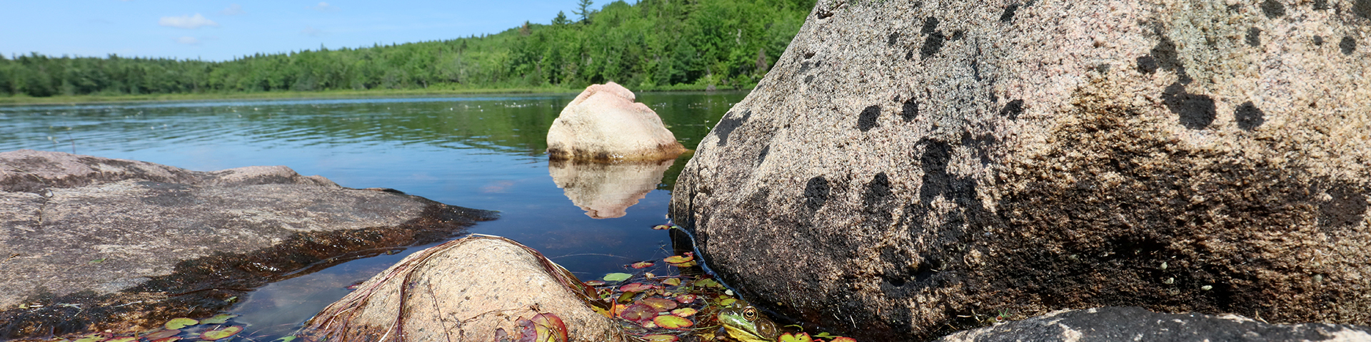 Lac de l'Anse Jigging