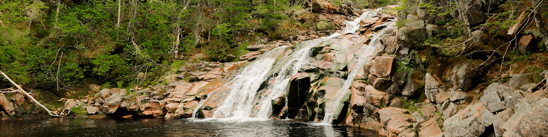 Mary Ann Falls 