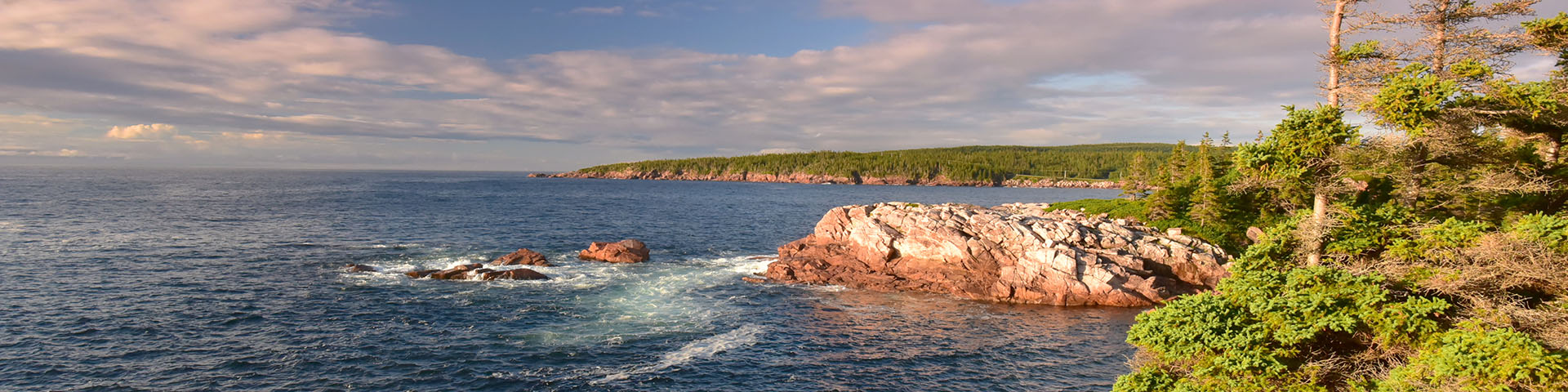 A forested and rocky coastal view with blue skies and sparkling ocean