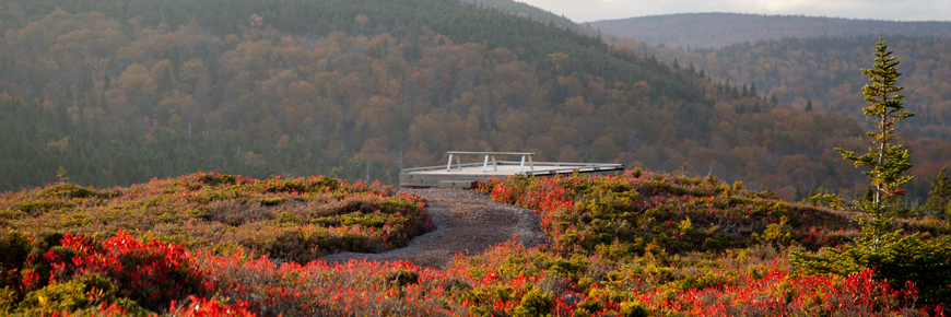 Cape Breton Highlands National Park