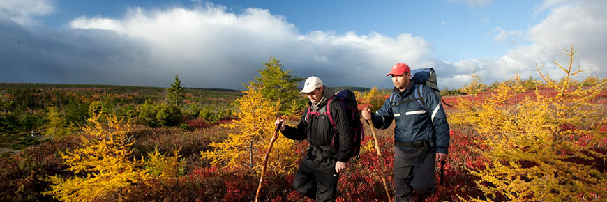 Backcountry hikers