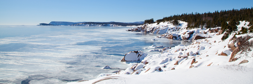 The park in winter