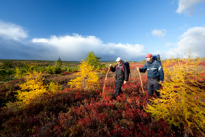 Conquer the Highlands