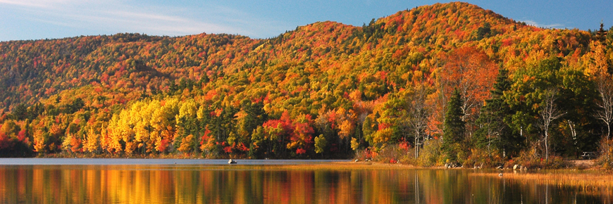 Warren Lake