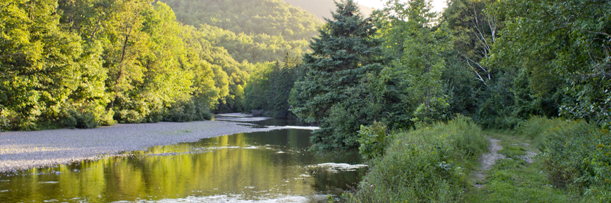 Clyburn Valley