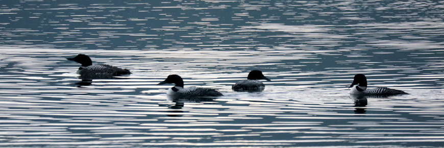 Freshwater Lake