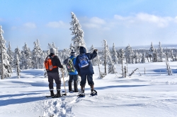 three people snowshoeing