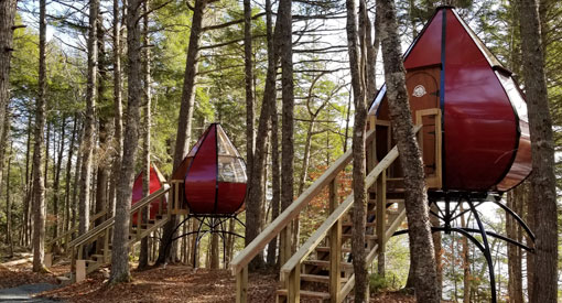 Three teardrop shaped Oasis units elevated by stilts among trees in the forest.