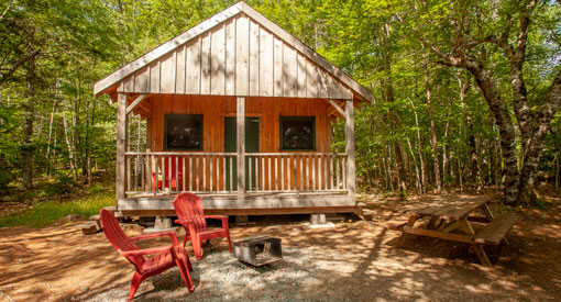 A rustic cabin made of wood shown in a clearing surrounded by trees.