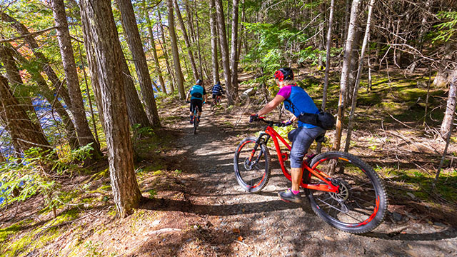 Trois cyclistes roulent sur le sentier à travers la forêt.