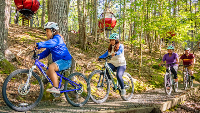A family riding their bikes through the forest. 