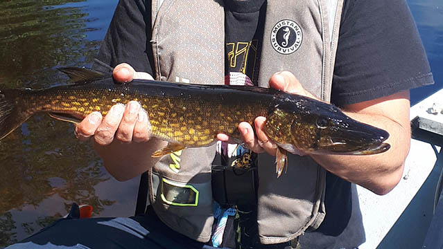 Une personne tenant un poisson.