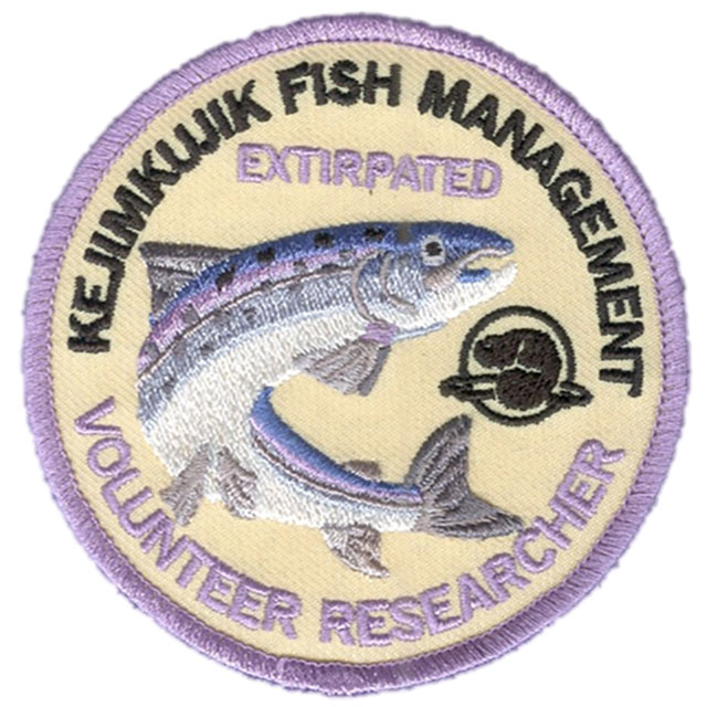 L'écusson représente un saumon atlantique disparu de la région.