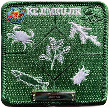 Trackable Alien Invaders patch