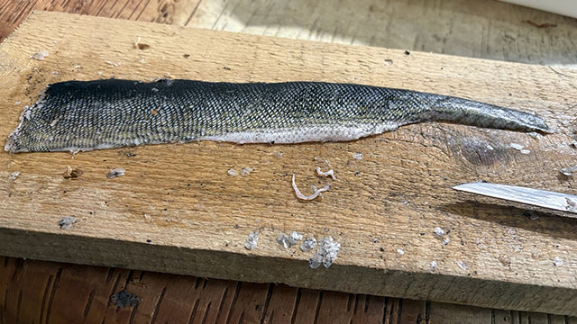 Peau de poisson.