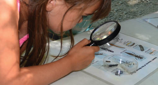 Une jeune visiteuse observe des créatures à l’aide d’une loupe.
