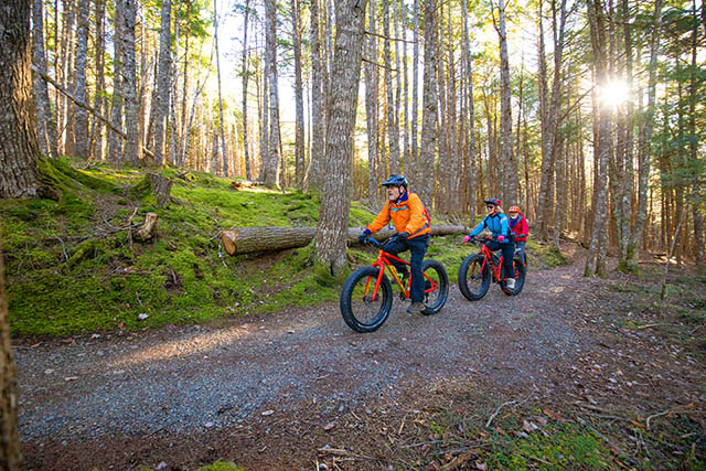 Three cyclists on fat bikes on the trail.