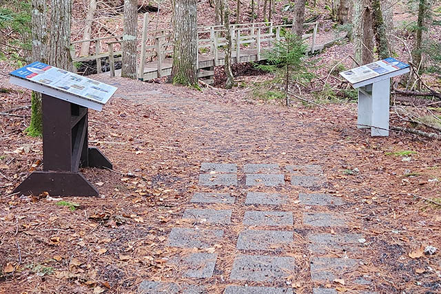 A small section of the path is made of paving stones with gravel in between.